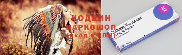 ГАЛЛЮЦИНОГЕННЫЕ ГРИБЫ Аркадак
