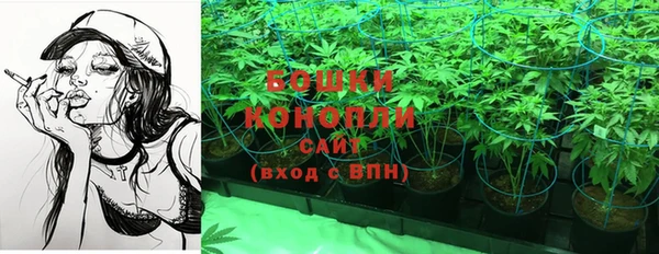 ГАЛЛЮЦИНОГЕННЫЕ ГРИБЫ Аркадак