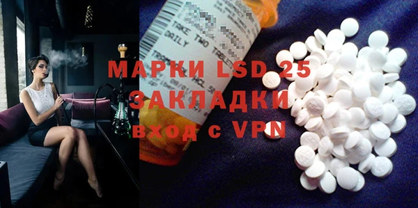 ГАЛЛЮЦИНОГЕННЫЕ ГРИБЫ Аркадак