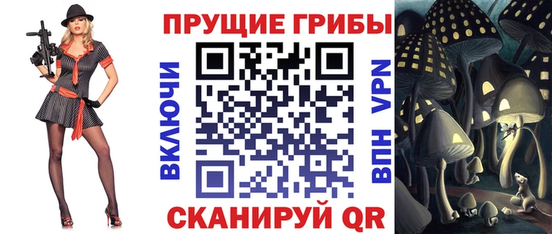 Псилоцибиновые грибы прущие грибы  как найти наркотики  Мегион 